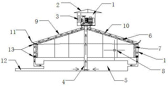 Efficient water circulating freezer