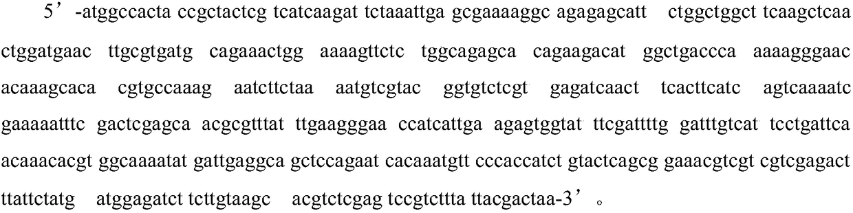 Kit for detecting PDL-1 mRNA gene expression quantity and application thereof