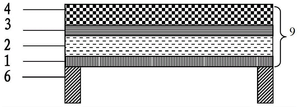 A flexible multiferroic device