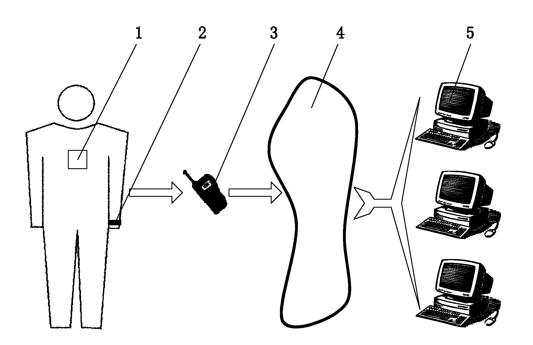 Body area network-based respiratory disease remote diagnosis monitoring system