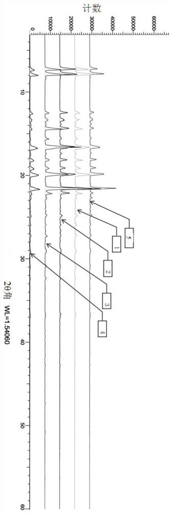 Crystallization process of dexibuprofen