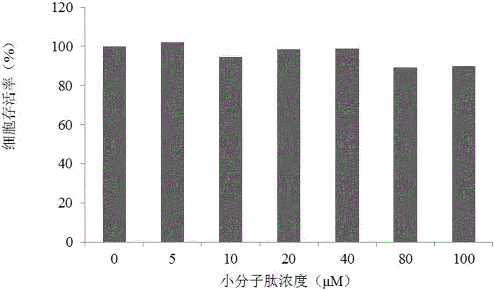 Dengue virus E protein blocking peptide P4 and application thereof