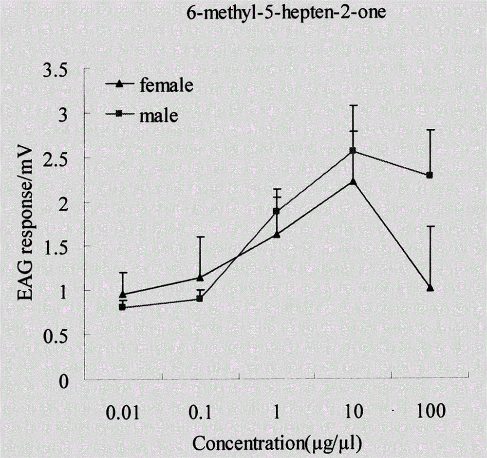 Dark black chafer luring agent composition and application thereof