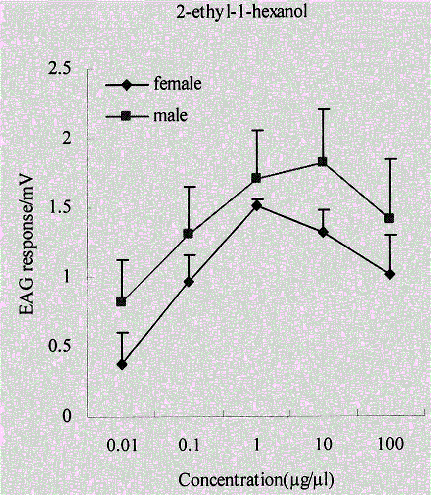 Dark black chafer luring agent composition and application thereof