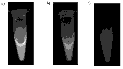 Multicolor luminous carbon nanodot as well as preparation method and application thereof