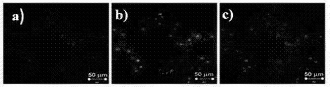 Multicolor luminous carbon nanodot as well as preparation method and application thereof