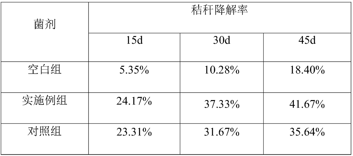 Trichoderma longiflorum, solid microbial agent thereof and application thereof