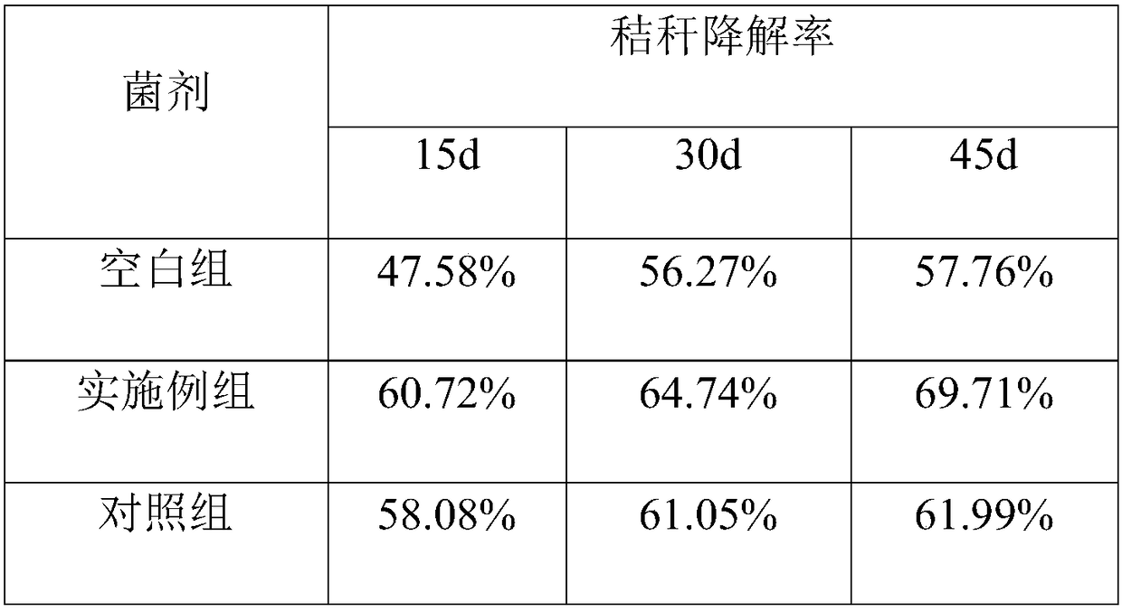 Trichoderma longiflorum, solid microbial agent thereof and application thereof