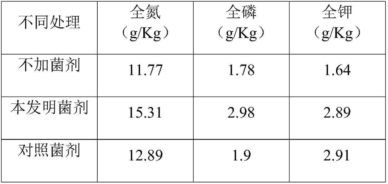 Trichoderma longiflorum, solid microbial agent thereof and application thereof