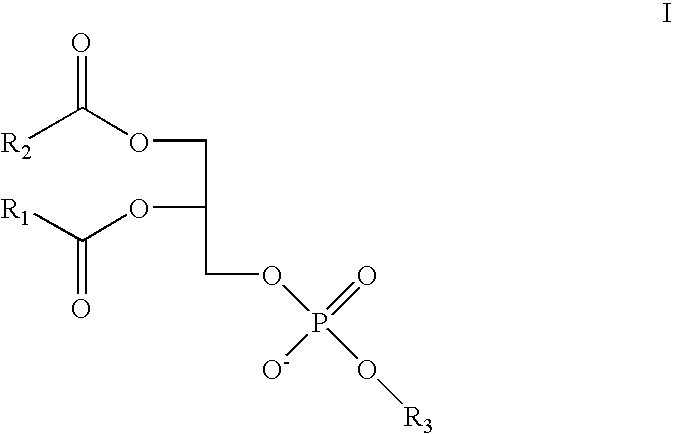 Antihistamine-and corticosteroid-containing lipsome composition and its use for the manufacture of medicament for treating rhinitis and related disorders