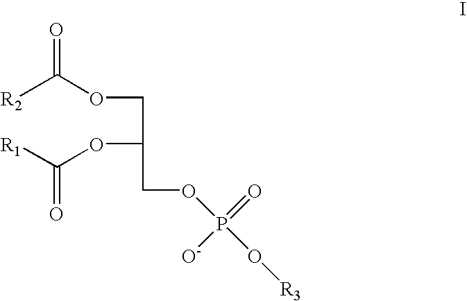 Antihistamine-and corticosteroid-containing lipsome composition and its use for the manufacture of medicament for treating rhinitis and related disorders