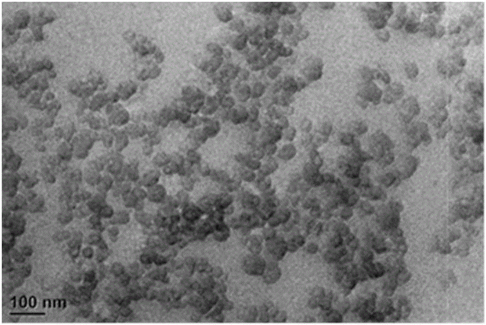 Modified silica nanoparticles and preparation method thereof and drilling fluid suitable for shale gas well