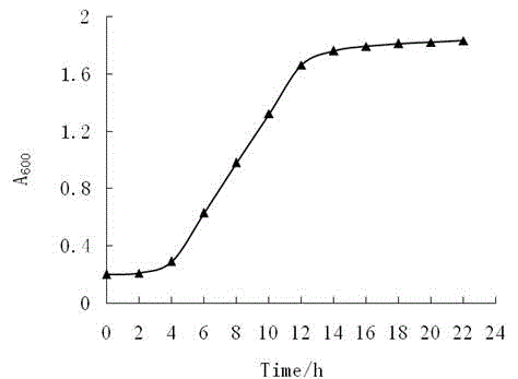 Bacillus circulans and application for same in preparation for ferulic acid decarboxylase