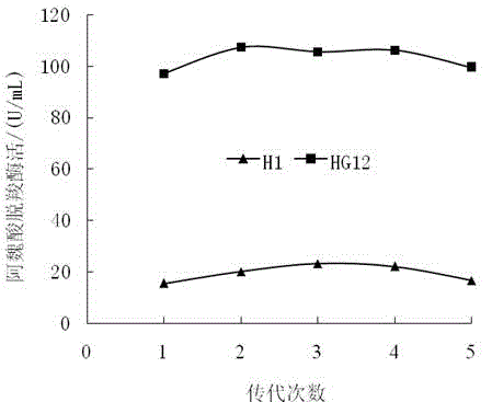 Bacillus circulans and application for same in preparation for ferulic acid decarboxylase