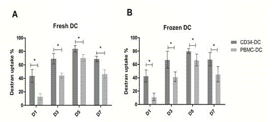 Mass preparation method for cord blood CD34+ hematopoietic stem cell-derived dendritic cells