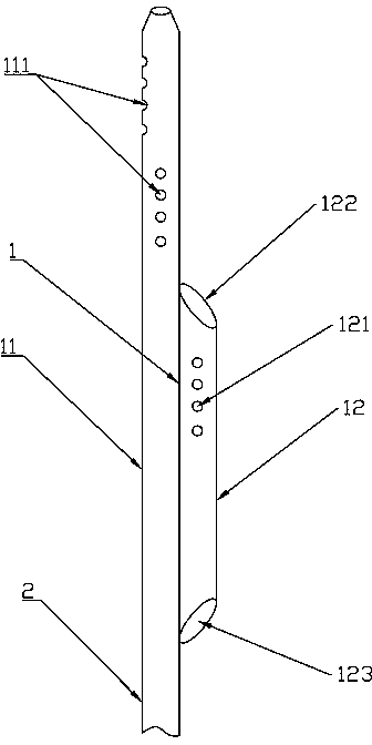 Double-cavity nose bile drainage tube