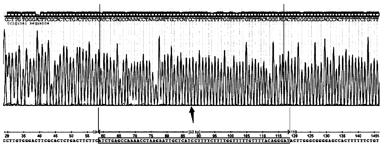 Method for detecting gene rearrangement, device, storage medium and processor