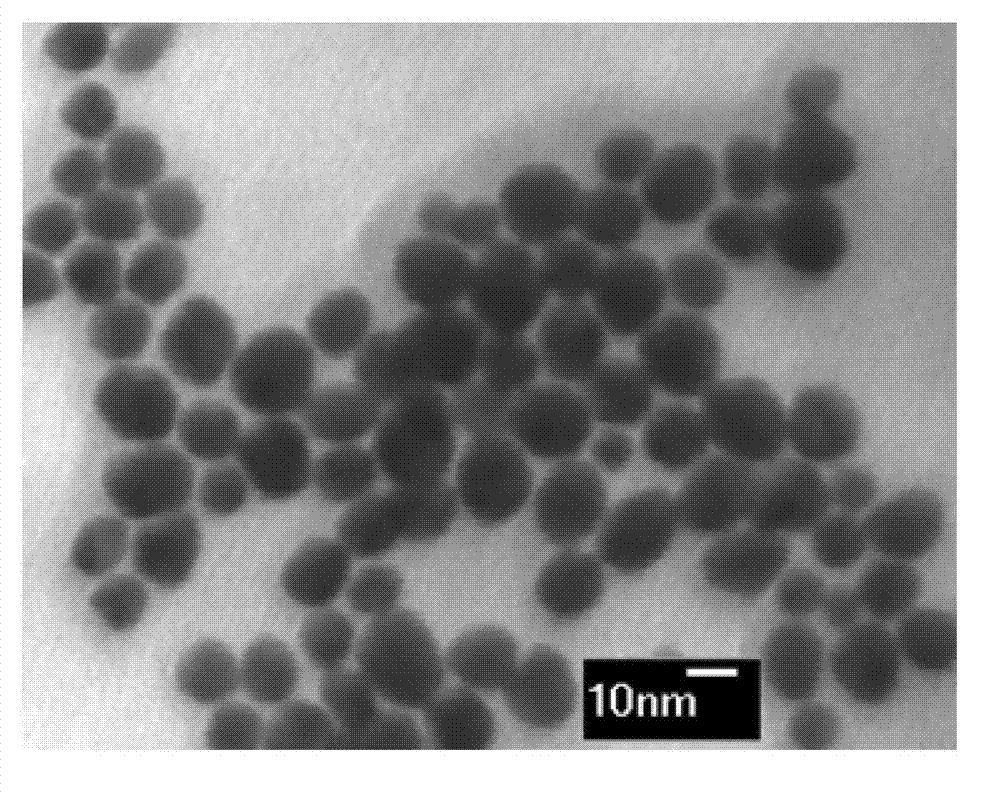 Environmentally-friendly synthetic method for metal nanoparticle