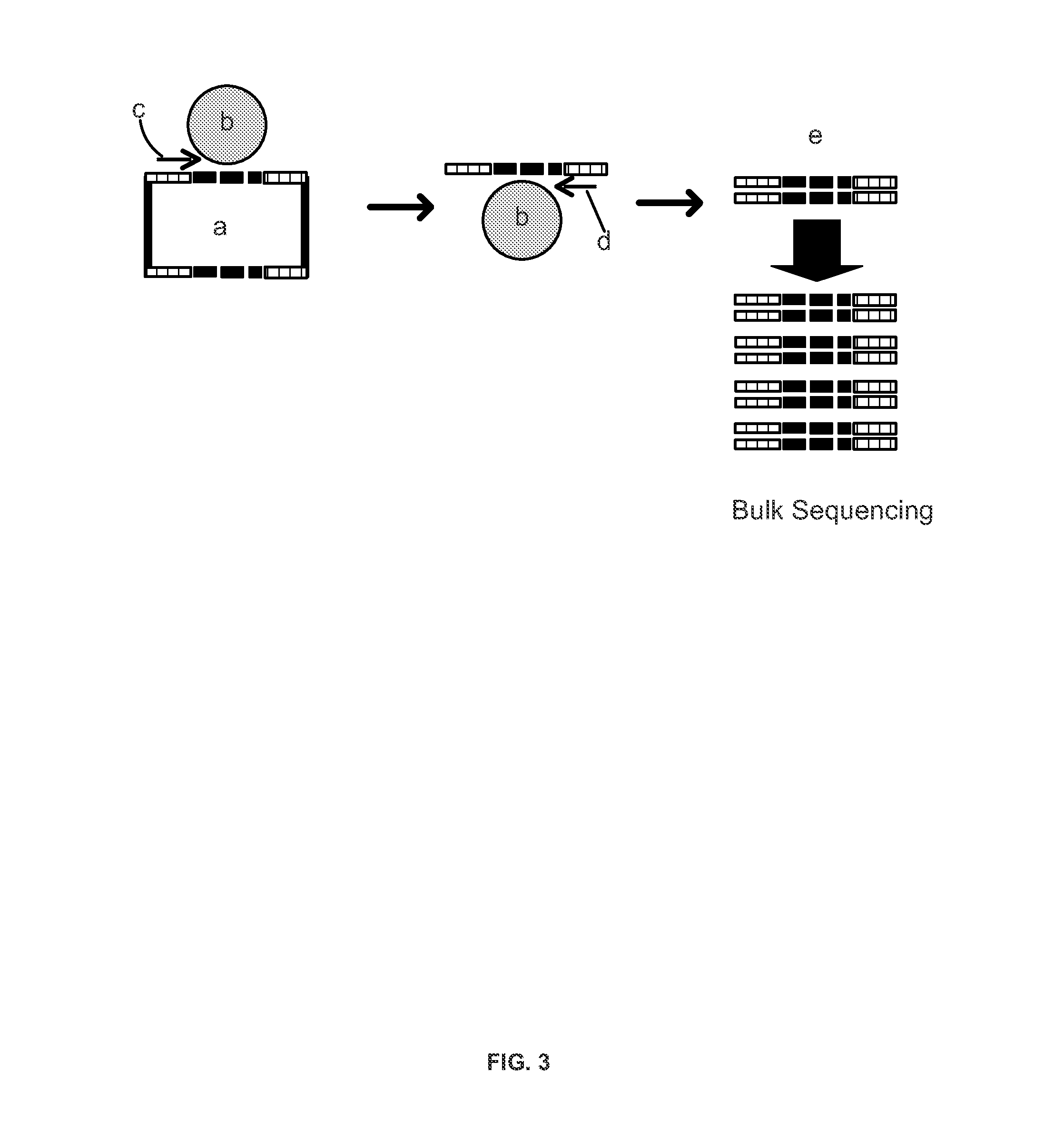 System and Methods for Massively Parallel Analysis of Nucleic Acids in Single Cells