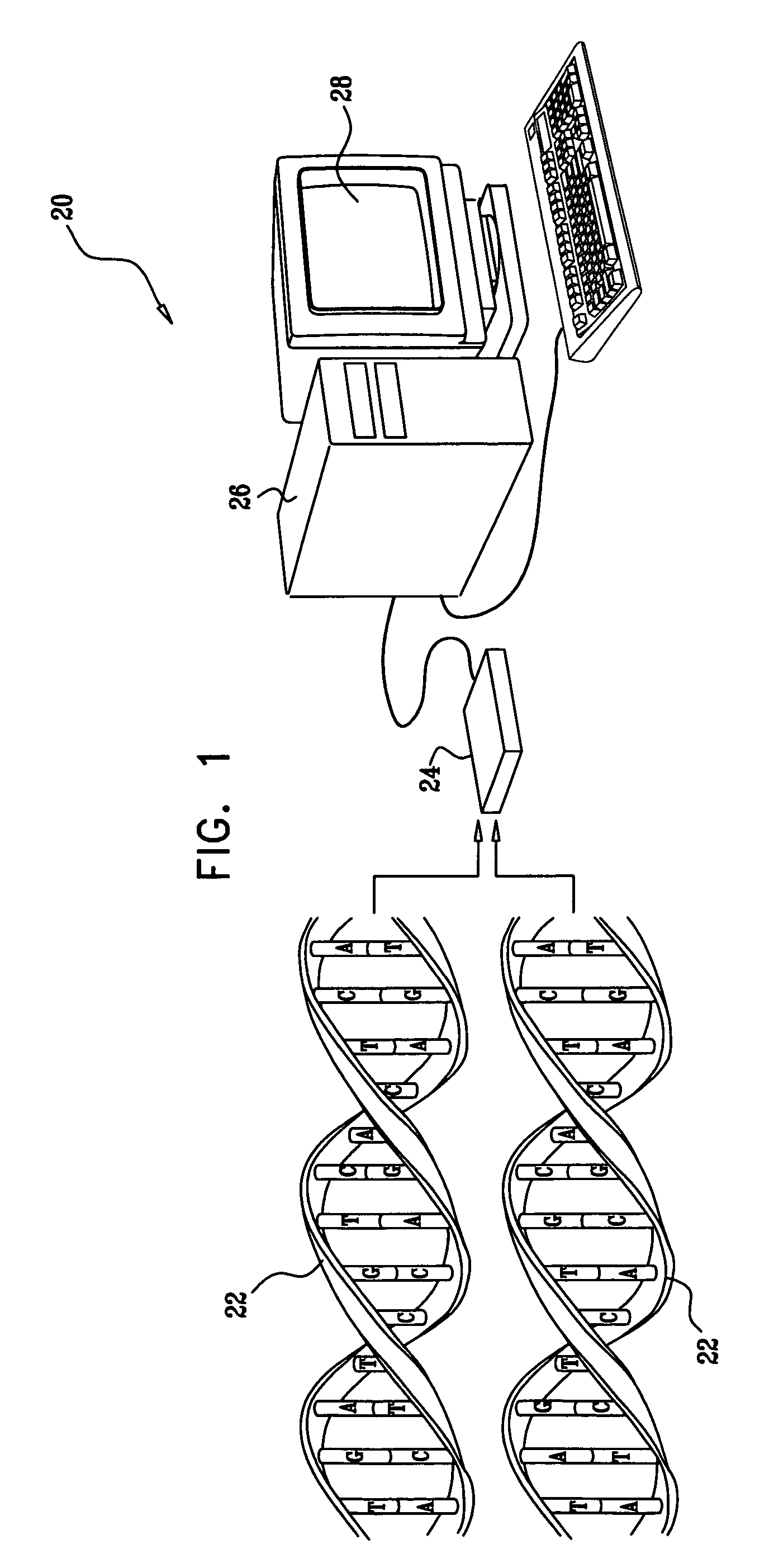 Vectorization of sequence alignment computation using distance matrix reshaping