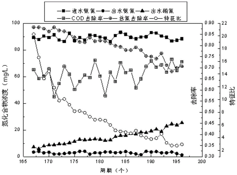 A kind of recovery method of simultaneous nitrification anammox and denitrification process