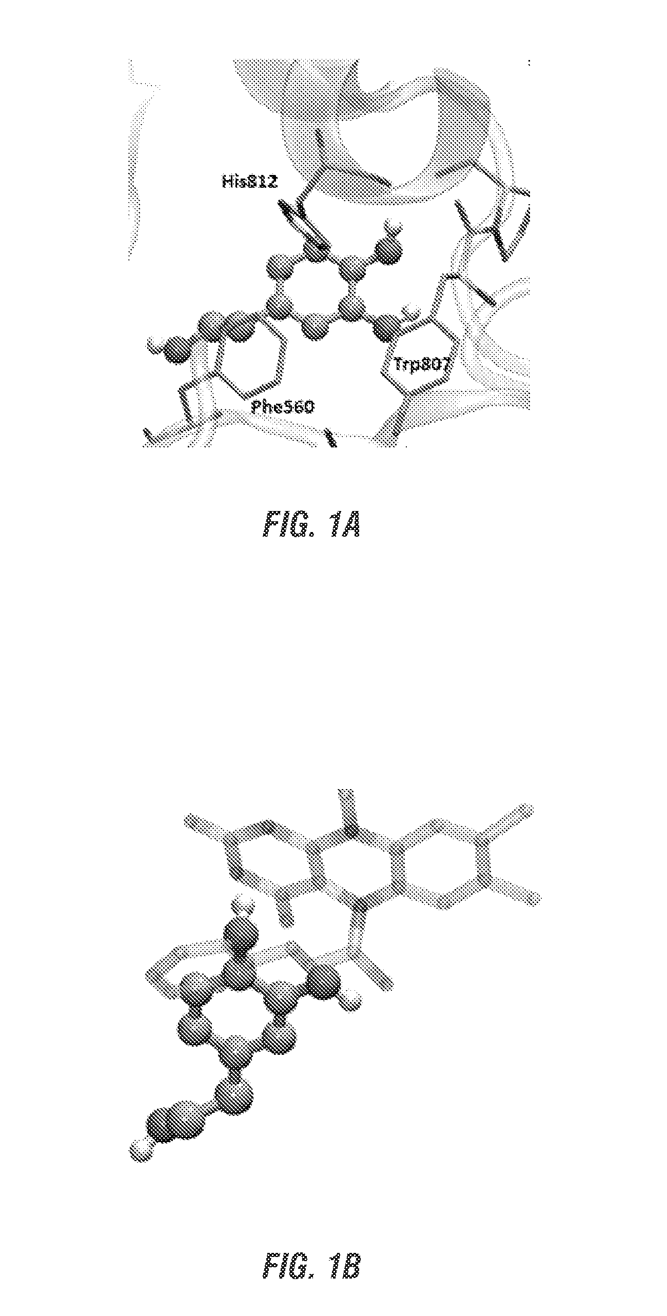 Hydroxytyrosol and oleuropein compositions for induction of DNA damage, cell death and lsd1 inhibition