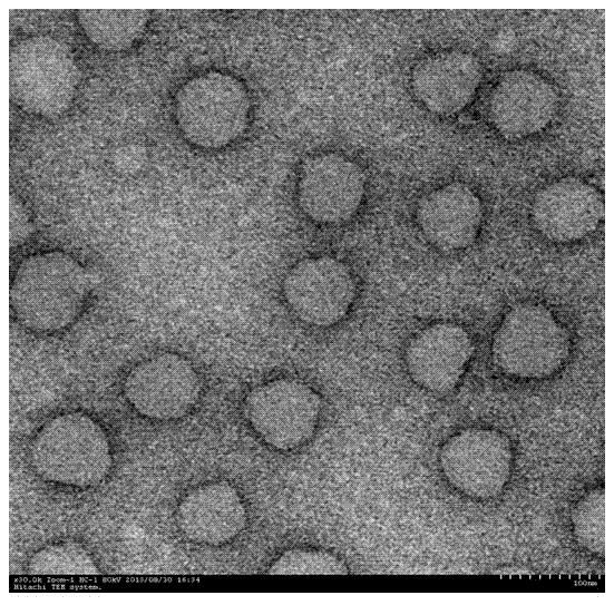 Multi-functional stimuli sensitive polymer-gold nanocage carrier and preparation method thereof