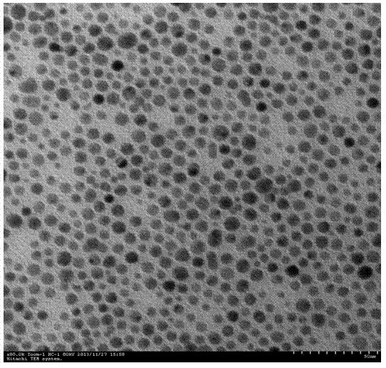 Multi-functional stimuli sensitive polymer-gold nanocage carrier and preparation method thereof