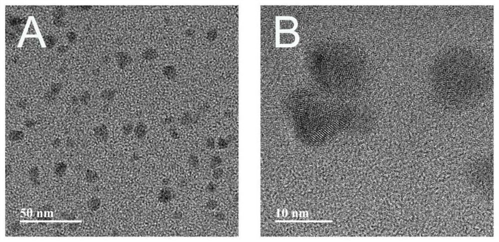 In-situ photocuring antibacterial bone defect repair gel and preparation method thereof