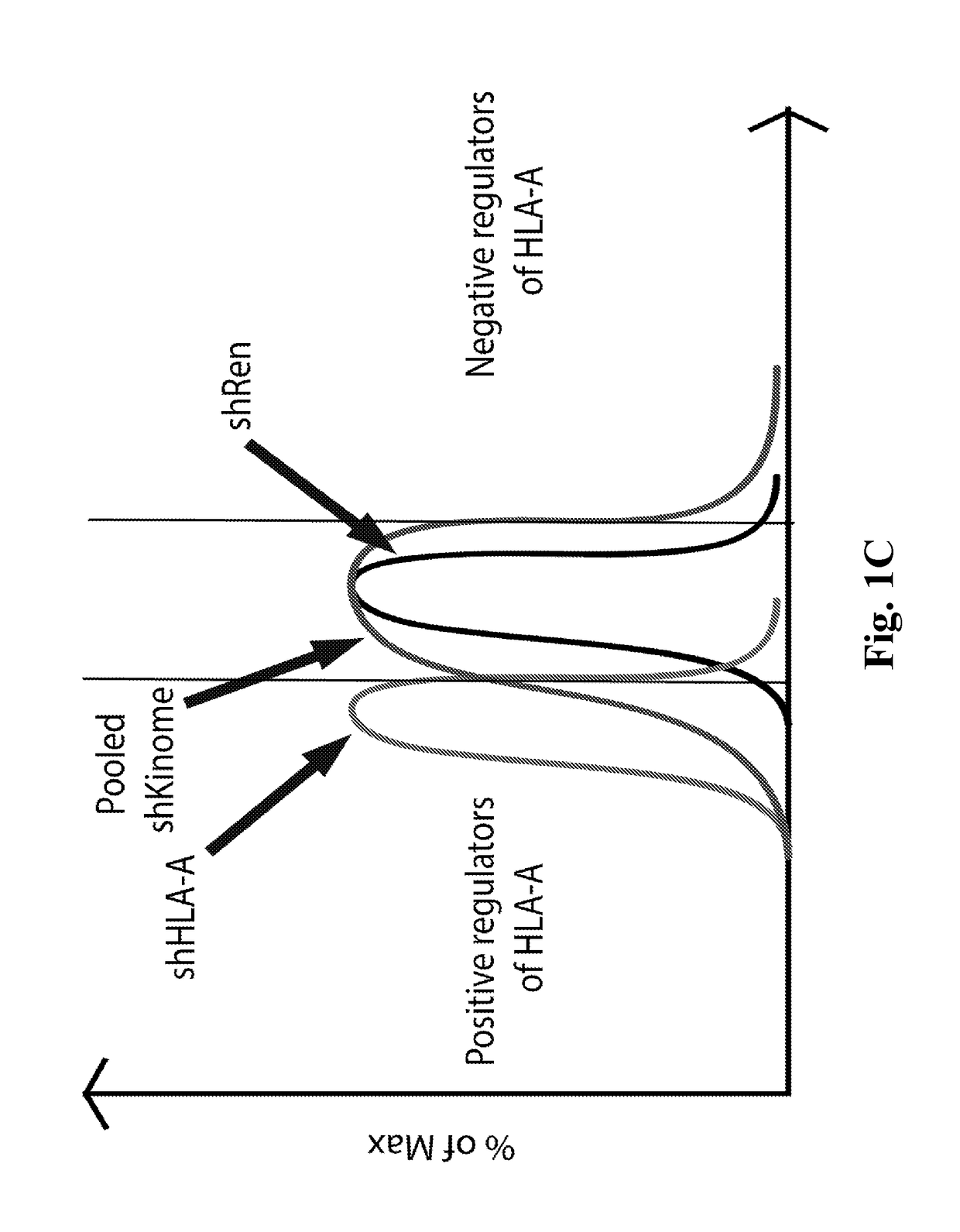 Method of treating diseases using kinase modulators