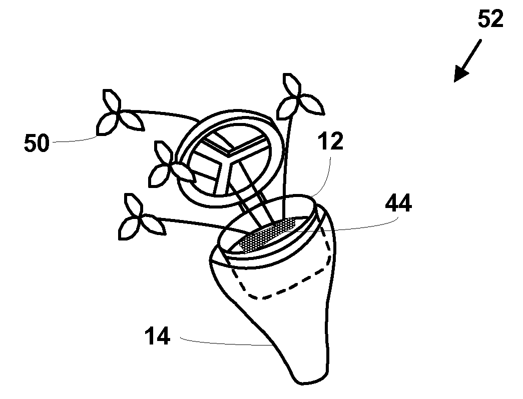 Jewelry apparatus with living ornamental material