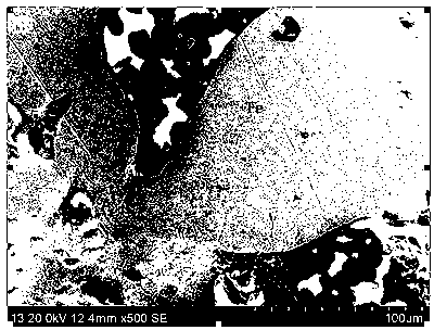 Solid phase reinforcement reduction-magnetic separation method of vanadium titano-magnetite