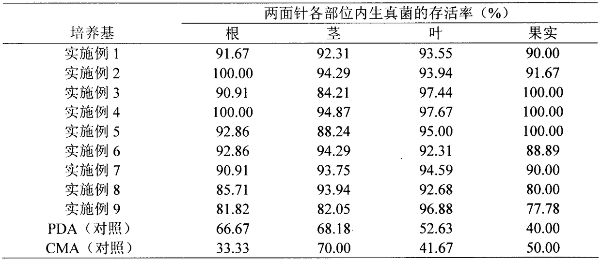 A kind of isolation medium of endophytic fungus of Liangmianzhen