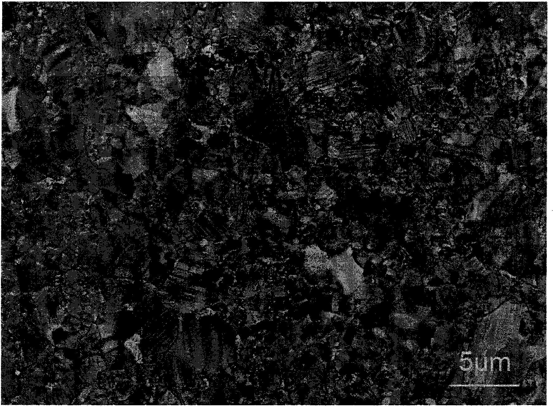 A &lt;111&gt; textured nano-twinned Cu bulk material and its preparation method