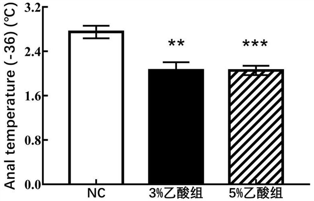 A construction method and application of a Yang-deficiency constipation animal model