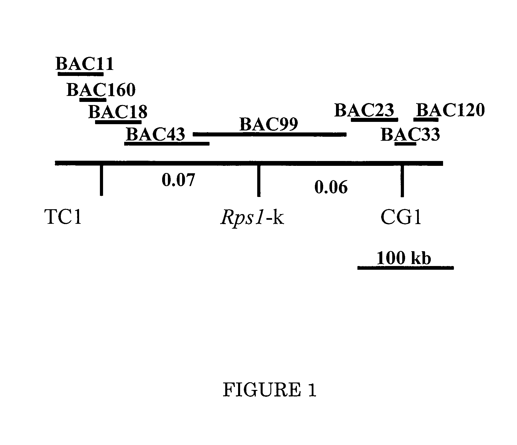 RPSk-1 gene family, nucleotide sequences and uses thereof