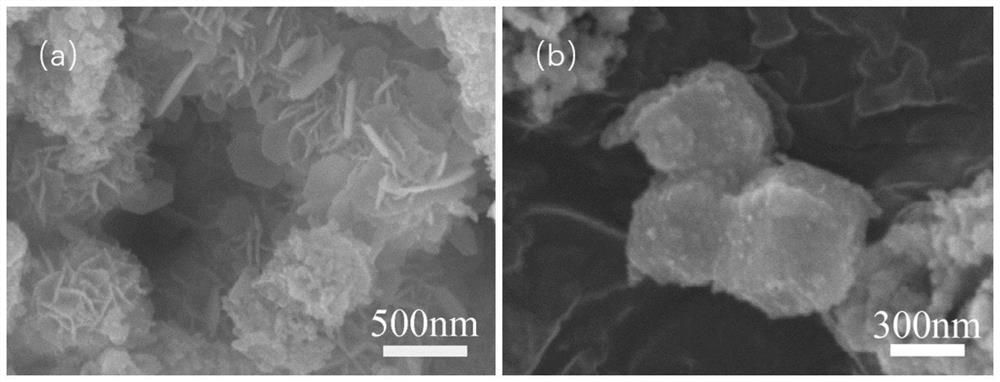 Cobalt disulfide-tin disulfide composite particle and preparation method and application thereof