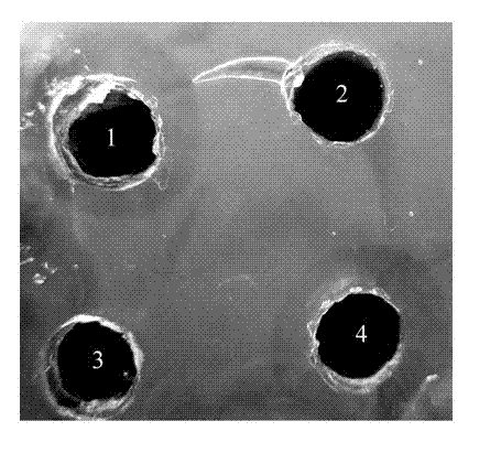 Method for expressing Reteplase in Escherichia coli by using dual plasmid system