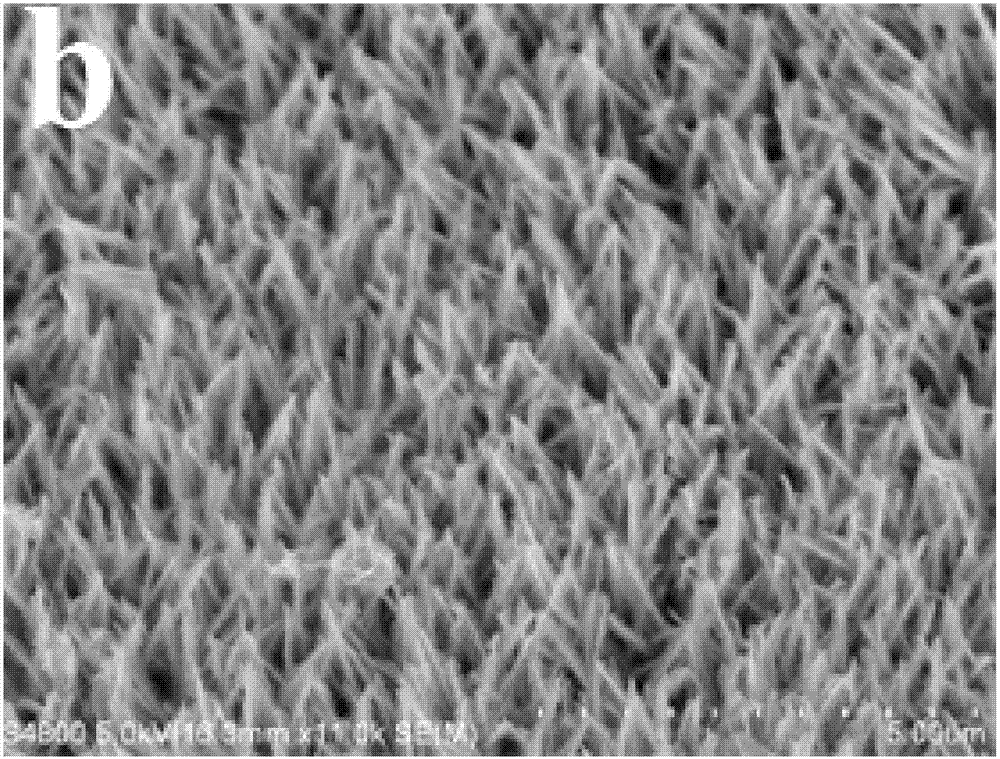 Isomorphous, high performance cobalt nickel @ cobalt nickel core-shell structure material and preparation method and application thereof