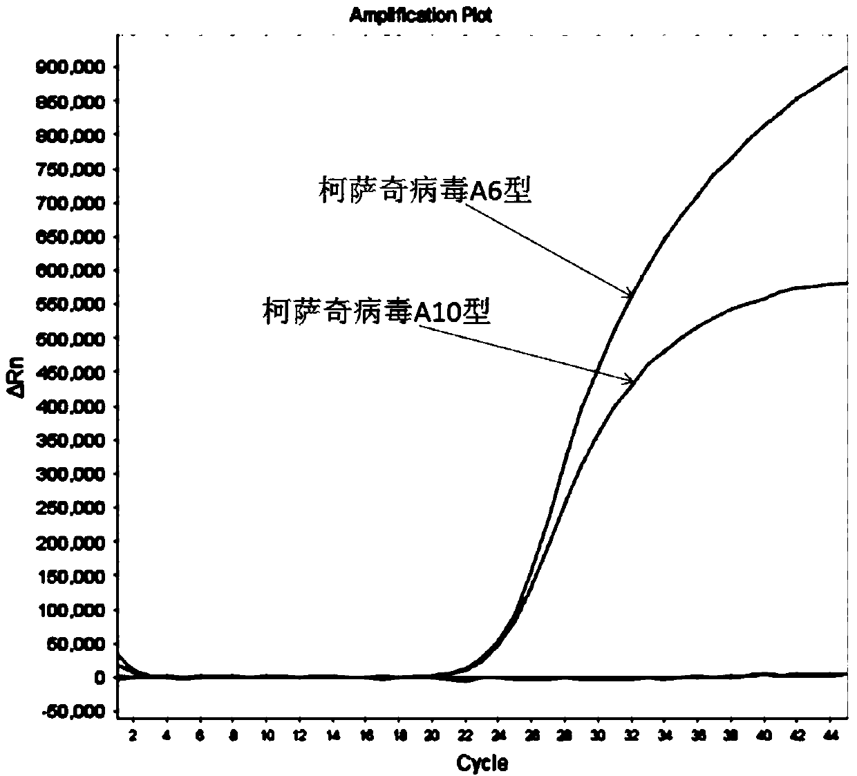 Nucleic acid test kit for rapidly detecting Coxsackie virus A6 type/A10 type and application thereof