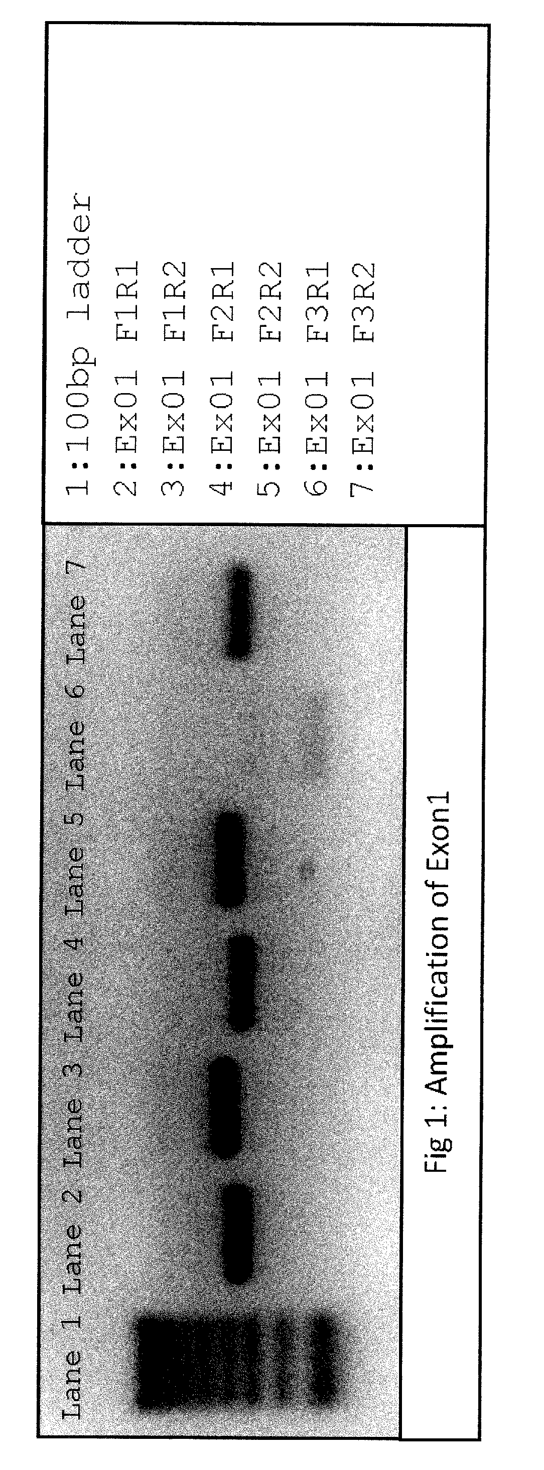 Consensus-based allele detection