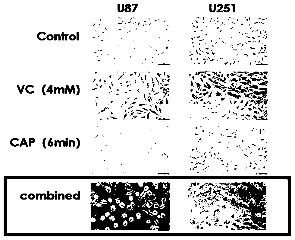 Combined application of low-temperature plasma and ascorbic acid