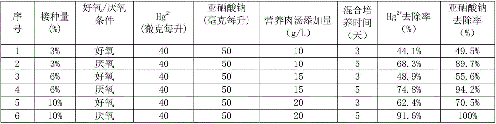 Method for purifying mercury and selenium in sewage through escherichia coli under aerobiotic and anaerobic conditions