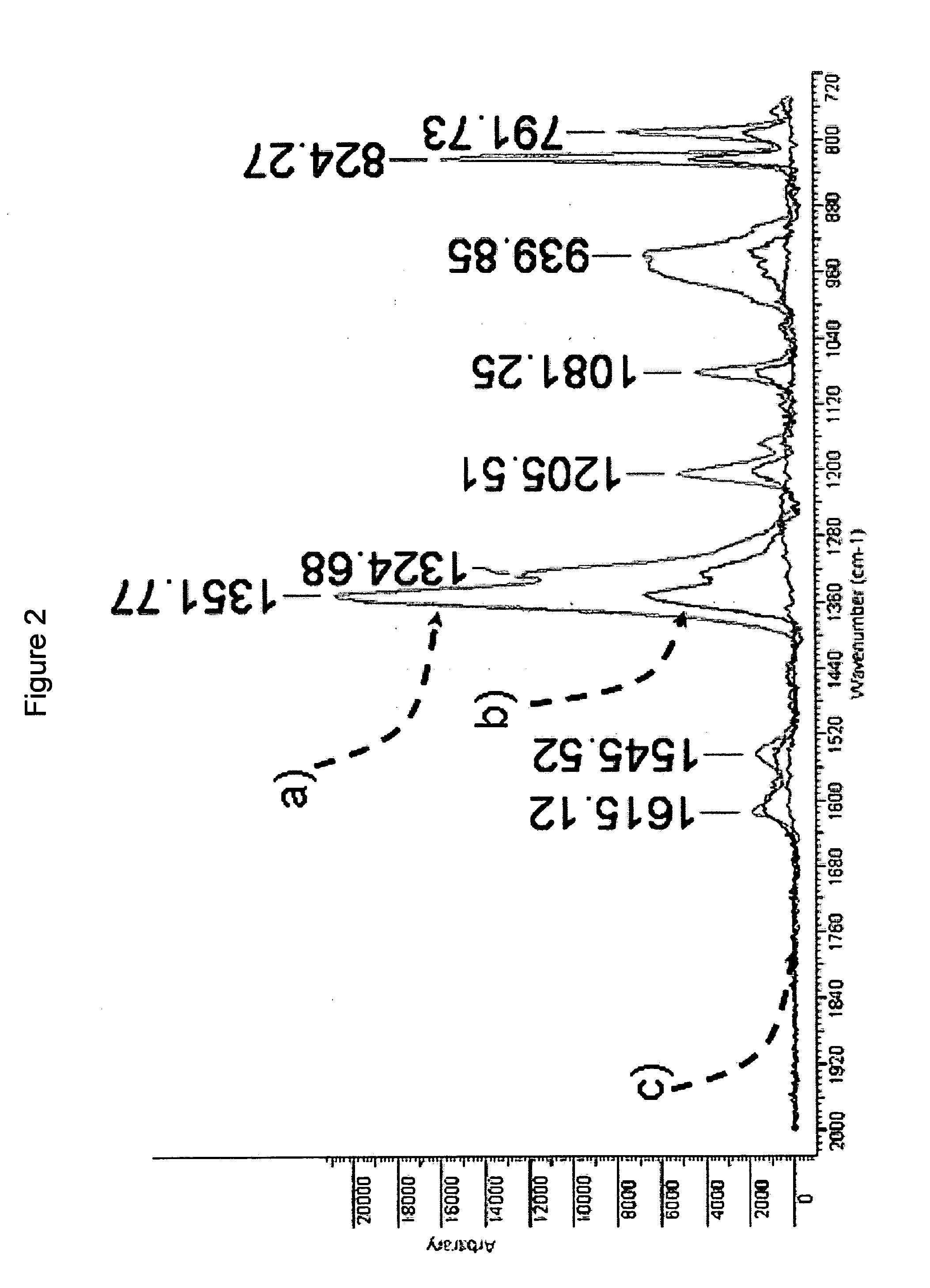 Surface enhanced raman spectroscopy detection with ion separation pre-filter