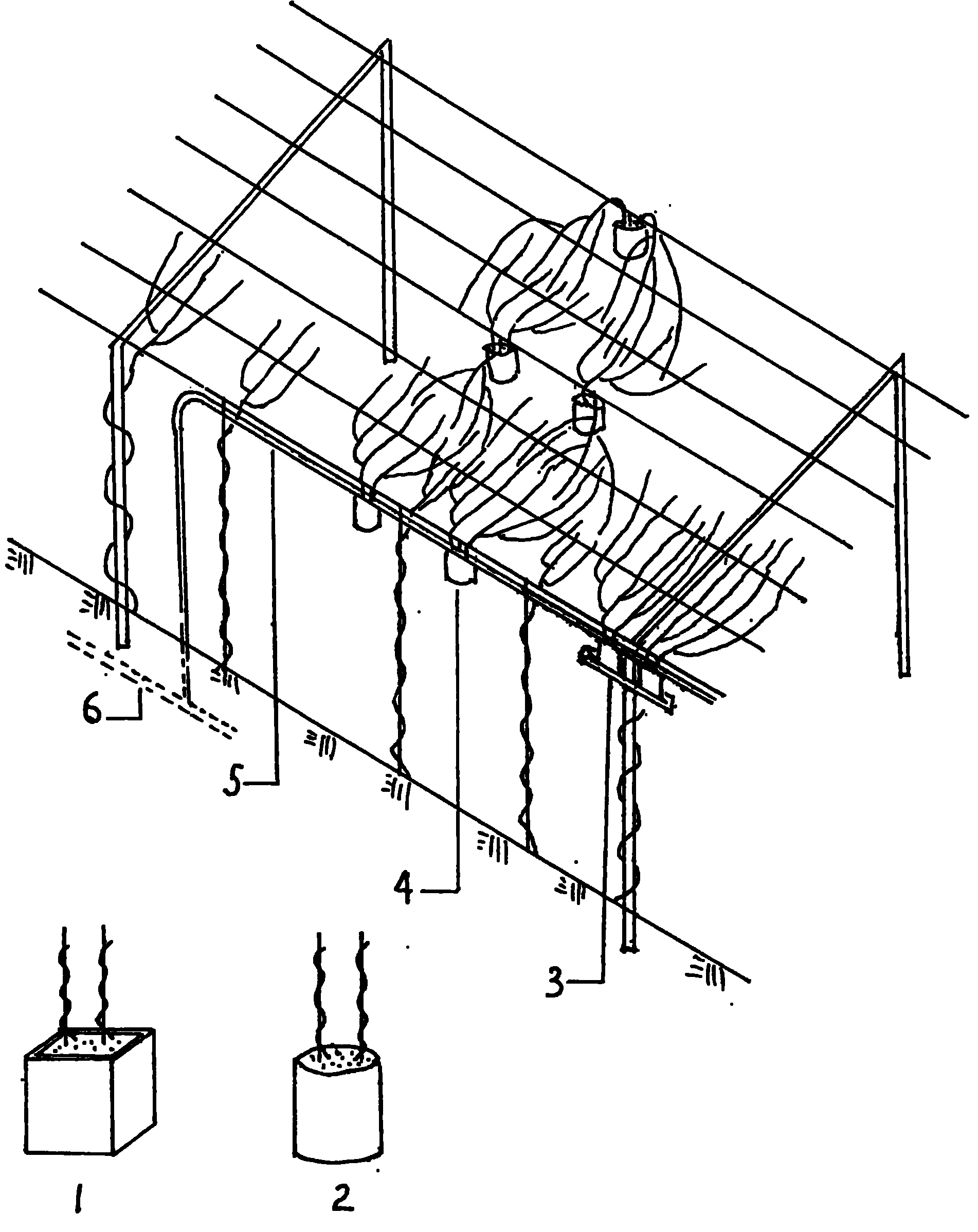 High and wide trellis green vine quick coverage cultivation device