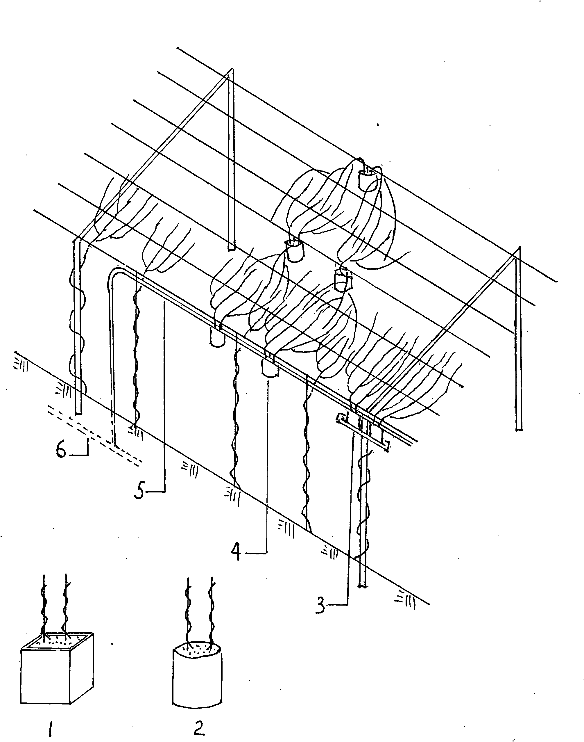 High and wide trellis green vine quick coverage cultivation device