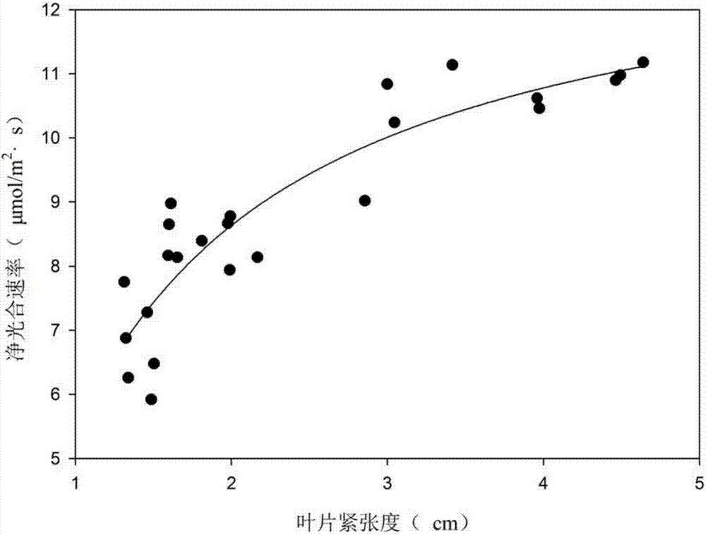 Leaf tensity change-based photosynthesis predicting method