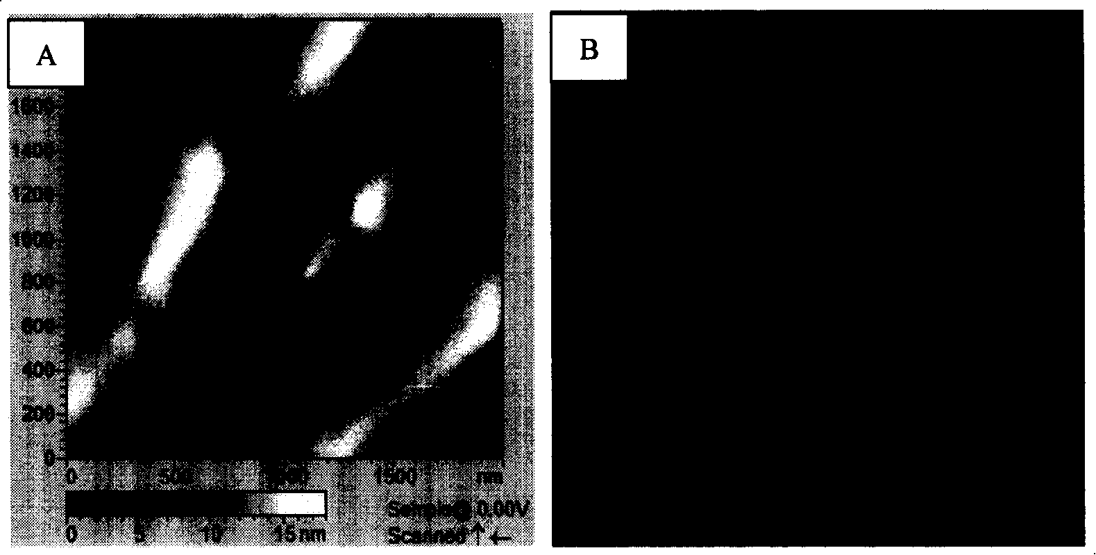 Blood compatibility material with micro nano coupling interface structure and its manufacturing method