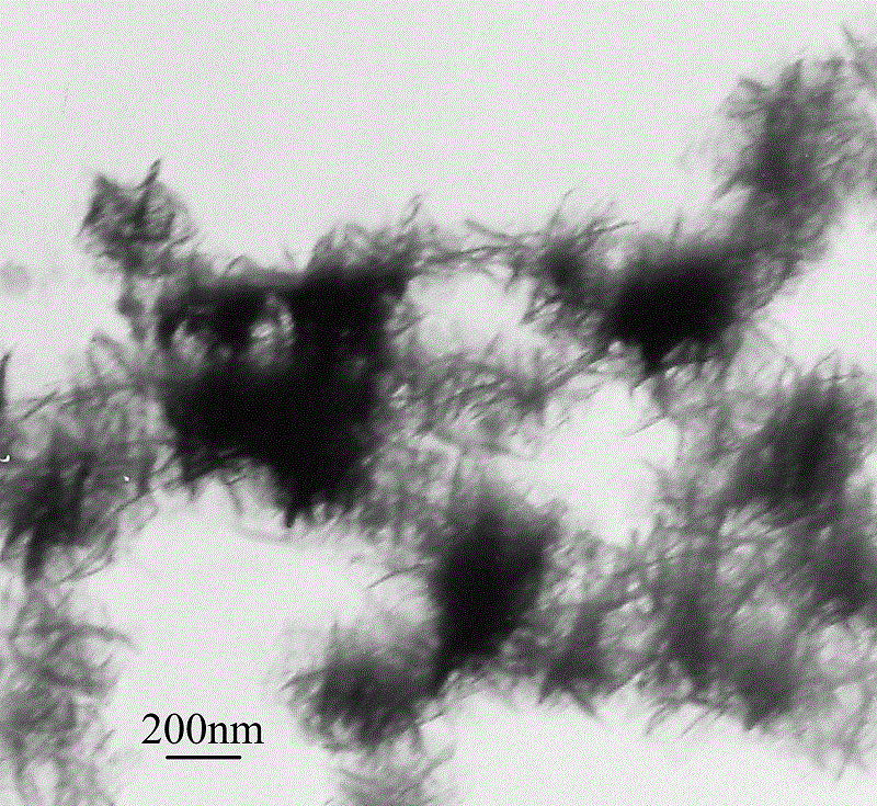 A kind of preparation method of solid barbed spherical conductive copolymer