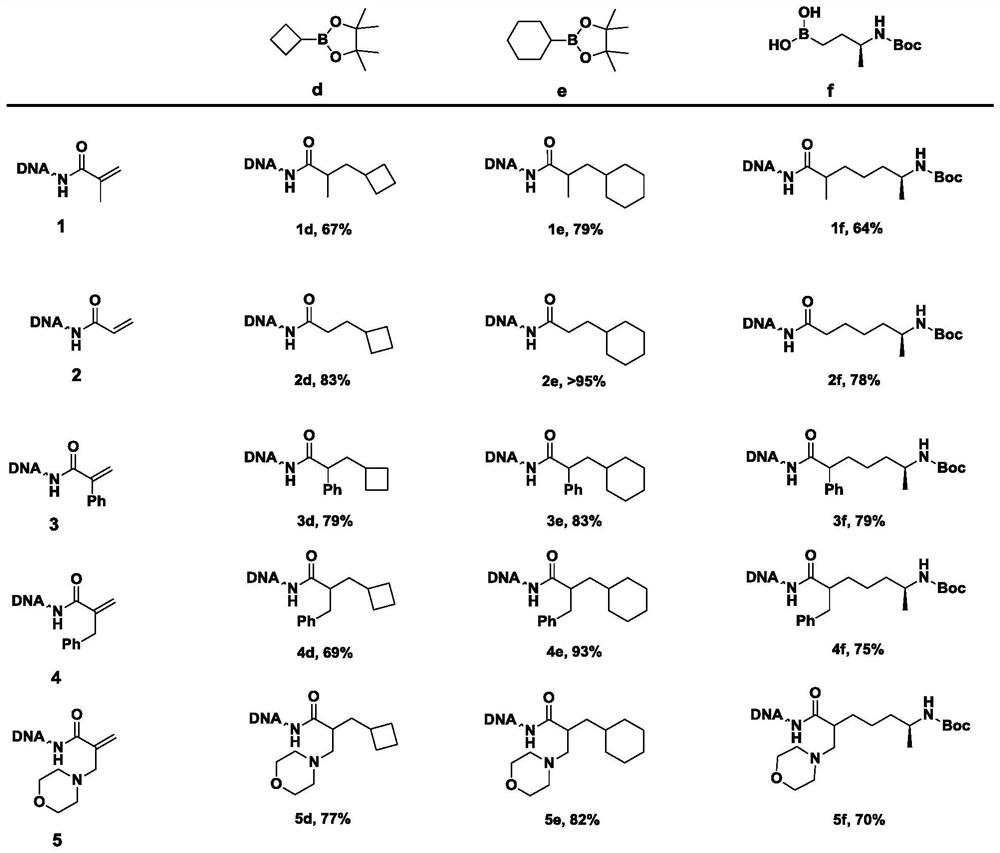 Method for constructing beta-fat substituted ketone compound through On-DNA reaction